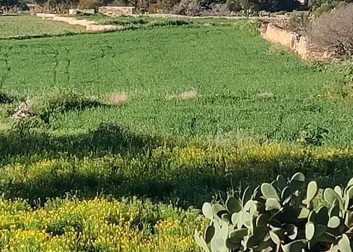 Marsaxlokk Equine Centre Hébergement de vacances Birżebbuġa