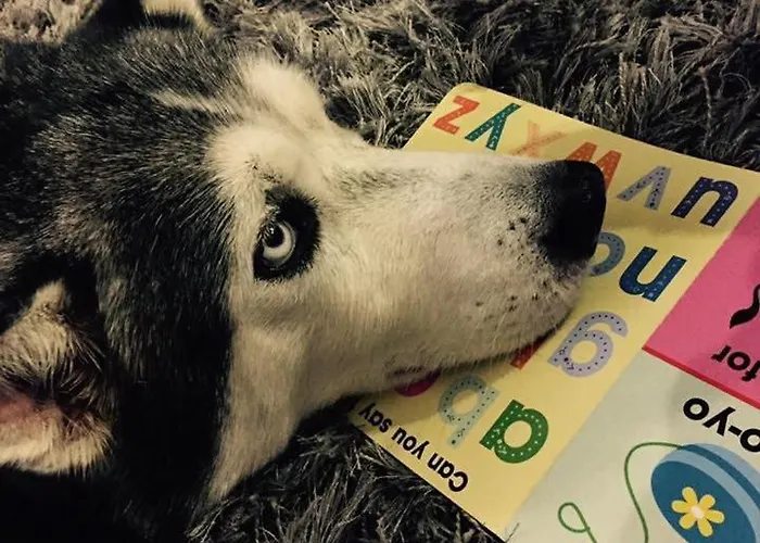 Marsaxlokk Equine Centre * Birżebbuġa