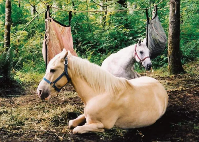 Marsaxlokk Equine Centre *