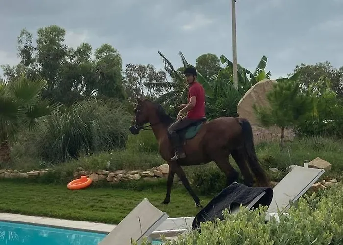 Hébergement de vacances Marsaxlokk Equine Centre *