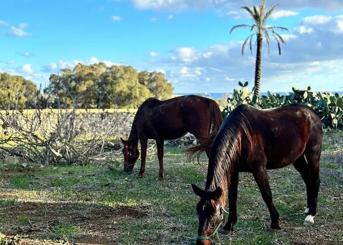 Hébergement de vacances Marsaxlokk Equine Centre