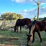 Casa vacanze Marsaxlokk Equine Centre