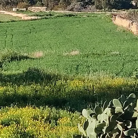 Marsaxlokk Equine Centre Σπίτι διακοπών Birżebbuġa