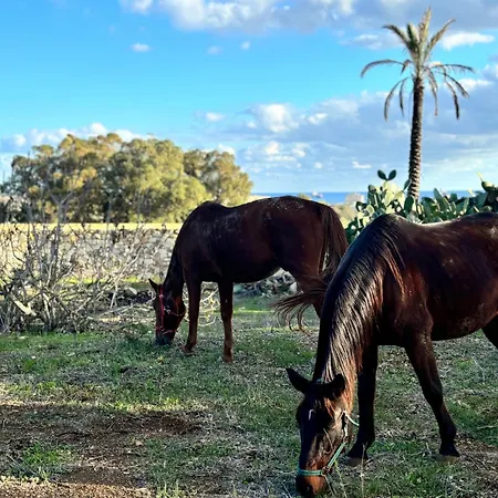 Marsaxlokk Equine Centre Casa vacanze Birżebbuġa