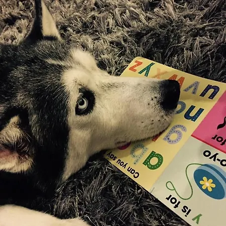 Marsaxlokk Equine Centre * Birżebbuġa