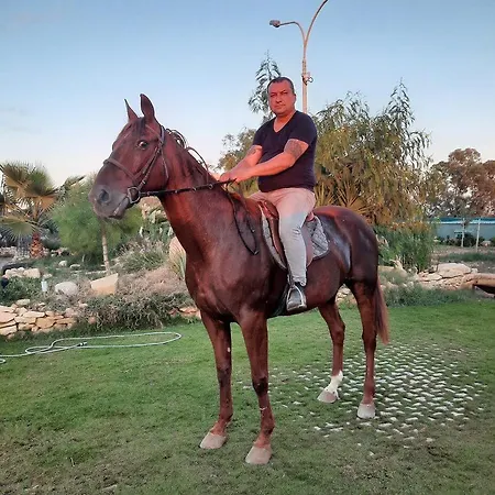 Marsaxlokk Equine Centre