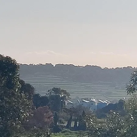 Marsaxlokk Equine Centre Birzebbuga