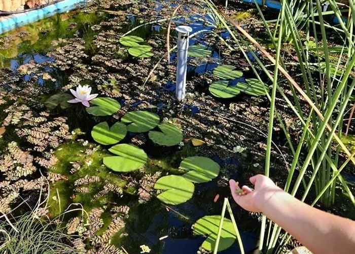 Marsaxlokk Equine Centre Birżebbuġa