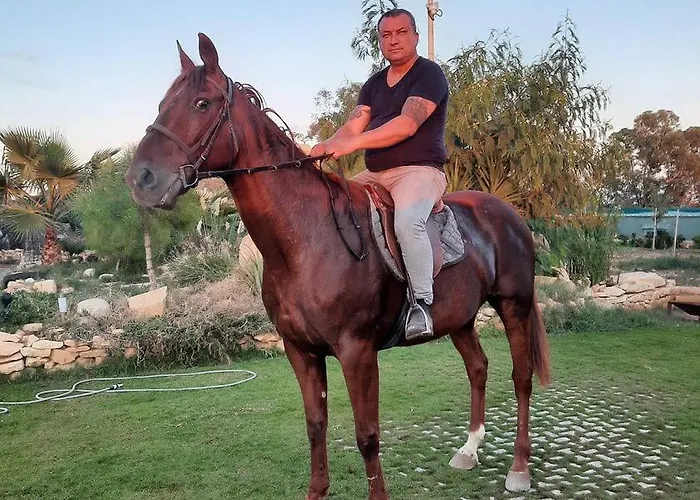 Marsaxlokk Equine Centre