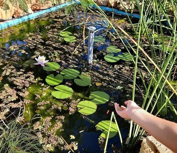 Σπίτι διακοπών Marsaxlokk Equine Centre *